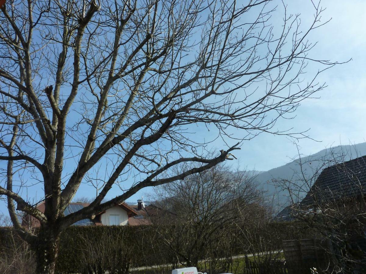 Вілла Studio 30 M2 Jardinet 10Minutes Annecy Naves-Parmelan Екстер'єр фото